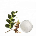 Polygonum cuspidatum extract resveratrol 98% white powder
